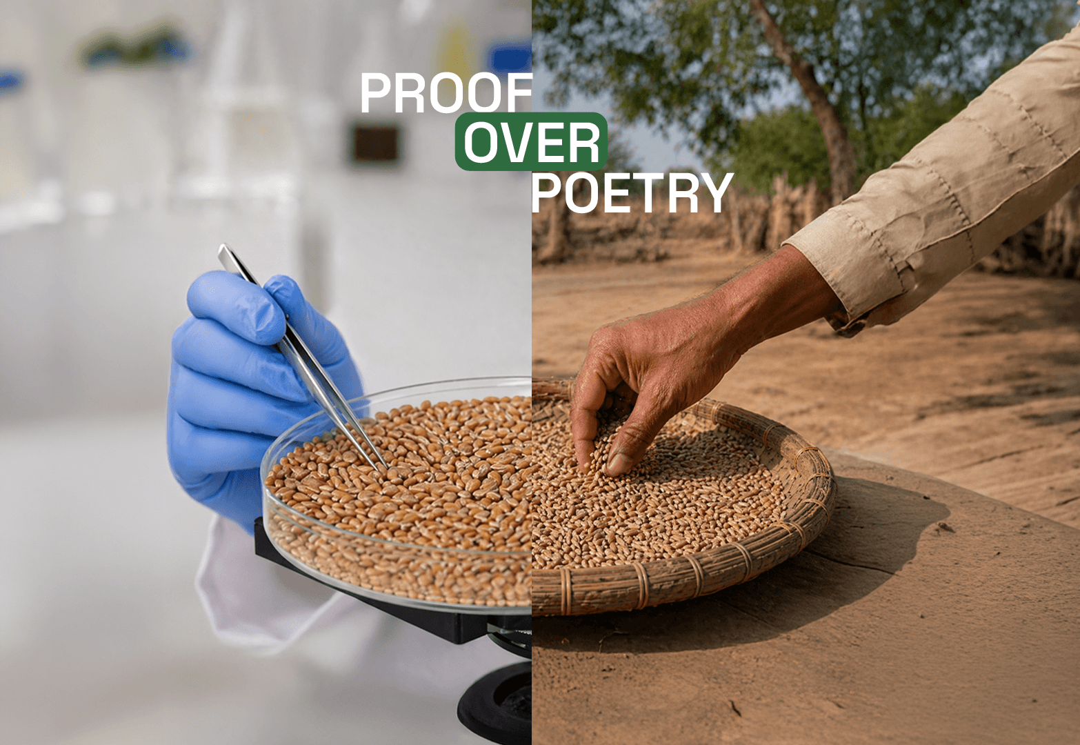 Proof Over Poetry