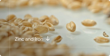 Mineral Density Drop