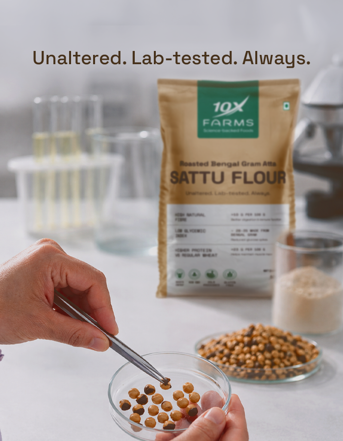 Sattu Flour